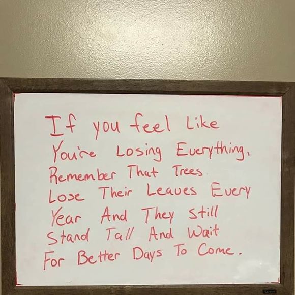 Meet your Posher, Jeff - Picture 1 of 1